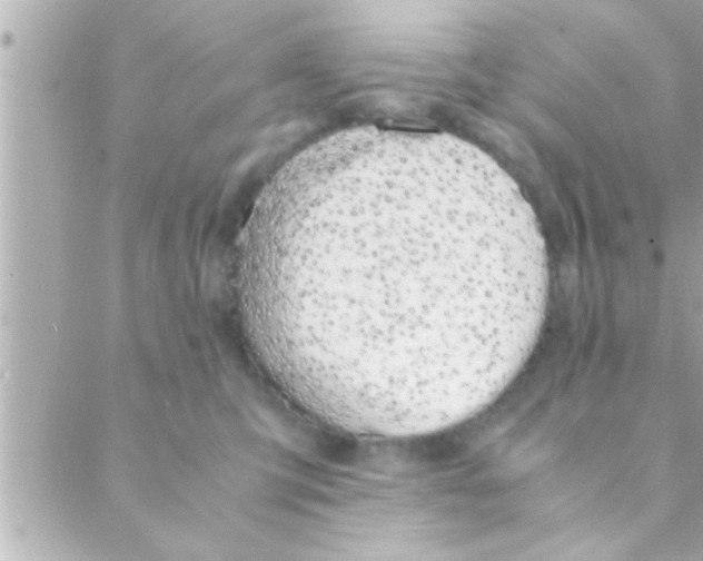 X0000088640423200706151947