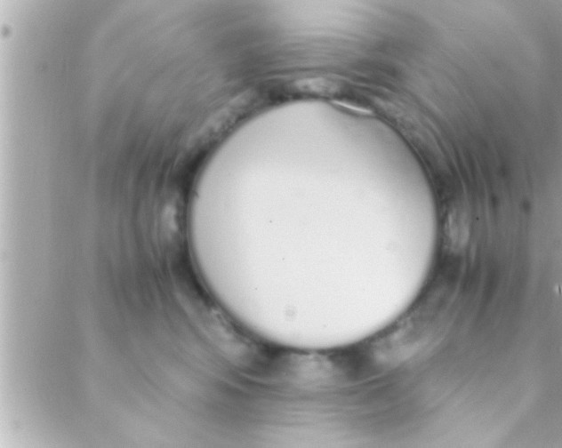 X0000088640424200706151947