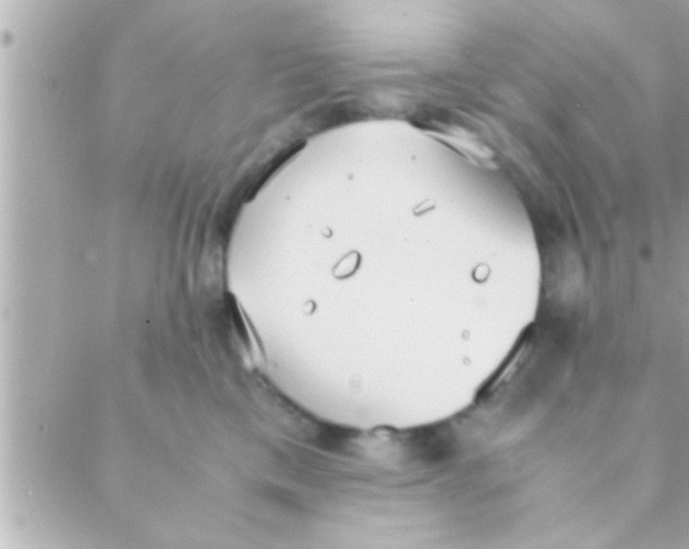 X0000088640425200706151947