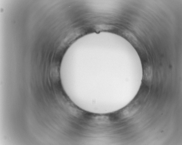 X0000088640426200706151947