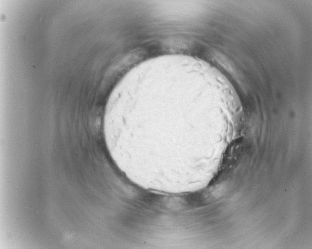 X0000088640427200706151947