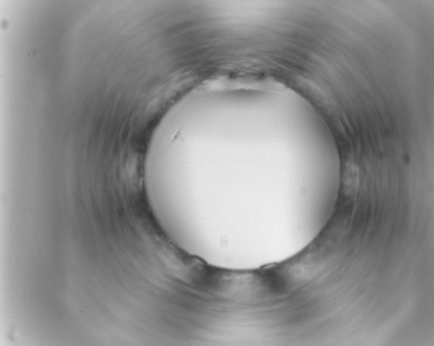 X0000088640428200706151947