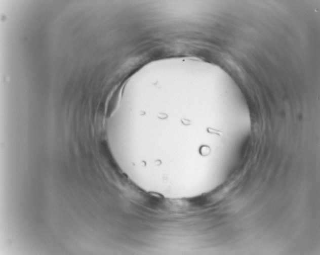 X0000088640429200706151947