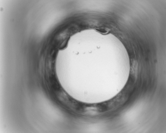 X0000088640430200706151947