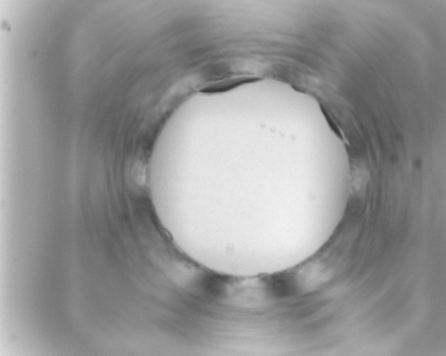 X0000088640431200706151947