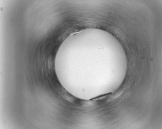 X0000088640432200706151947