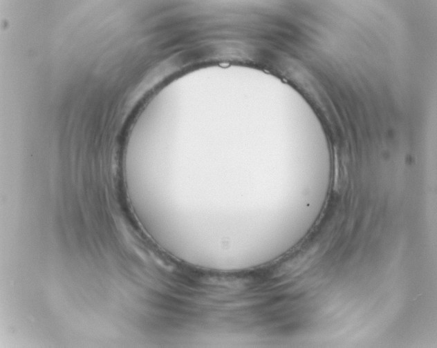 X0000088640435200706151946