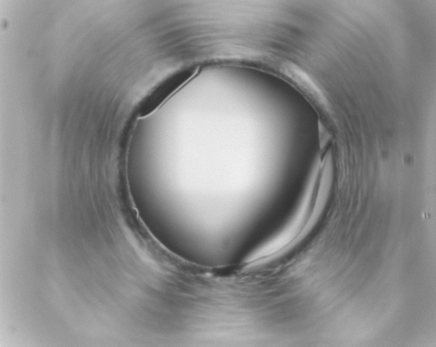 X0000088640436200706151946