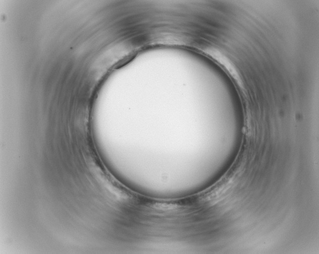 X0000088640437200706151946