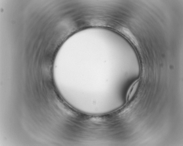 X0000088640441200706151946