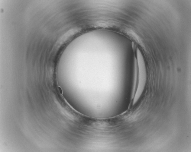 X0000088640444200706151946