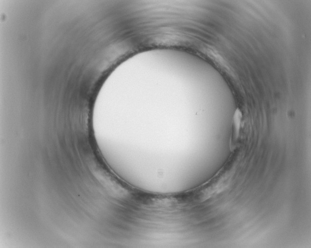 X0000088640446200706151946