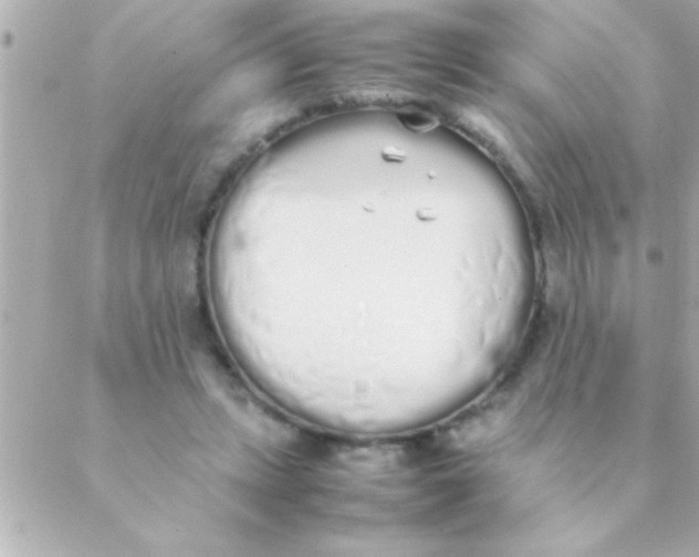 X0000088640447200706151946