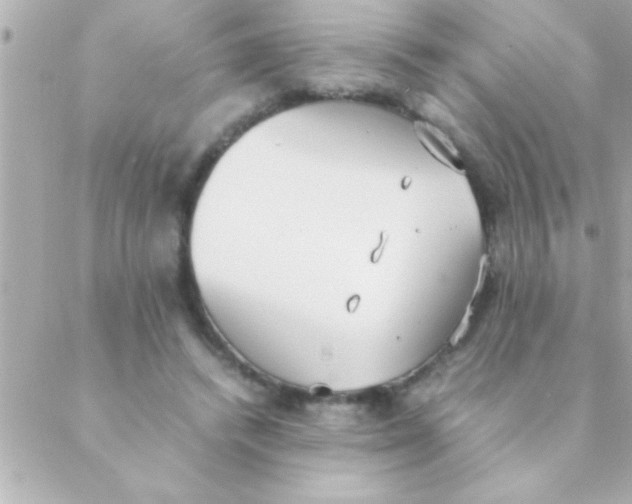 X0000088640448200706151946