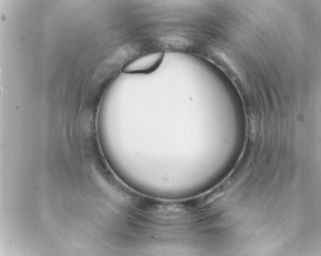 X0000088640451200706151946