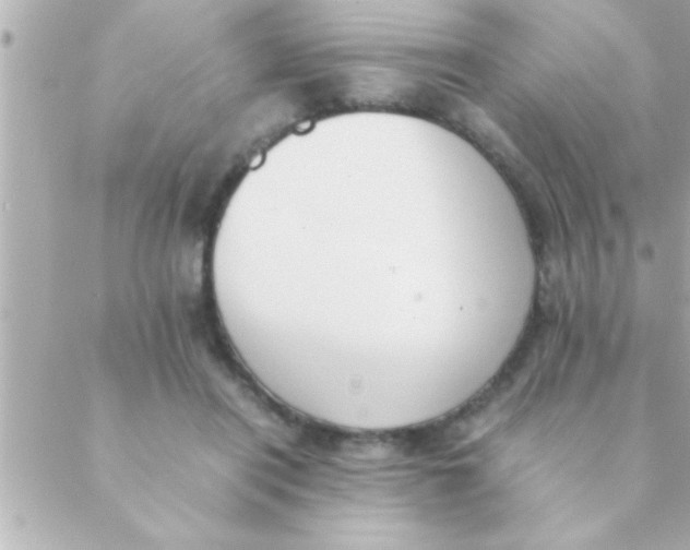 X0000088640454200706151946