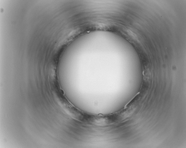 X0000088640456200706151946