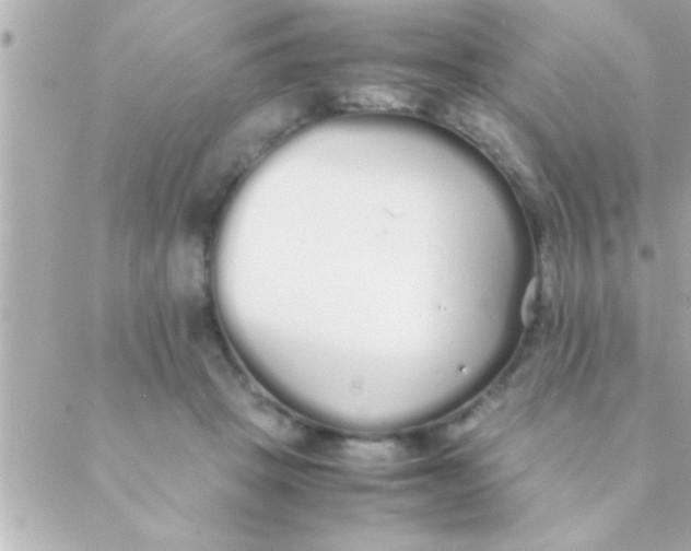 X0000088640457200706151946