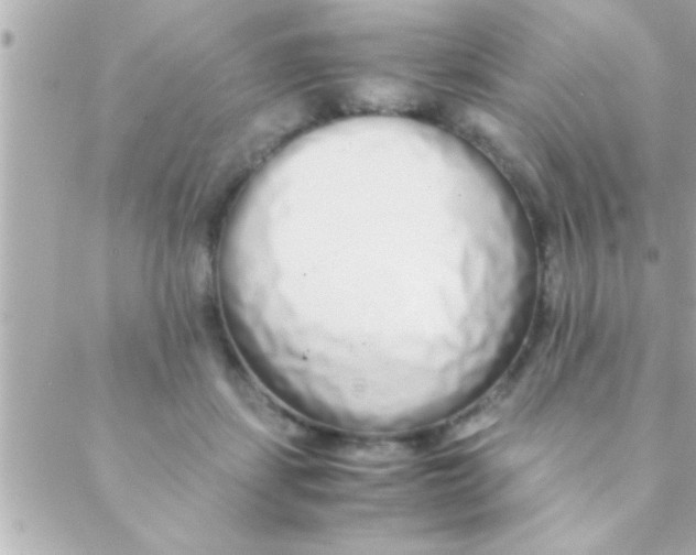 X0000088640459200706151947