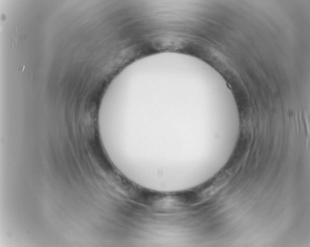 X0000088640460200706151947