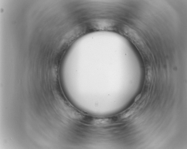 X0000088640461200706151947