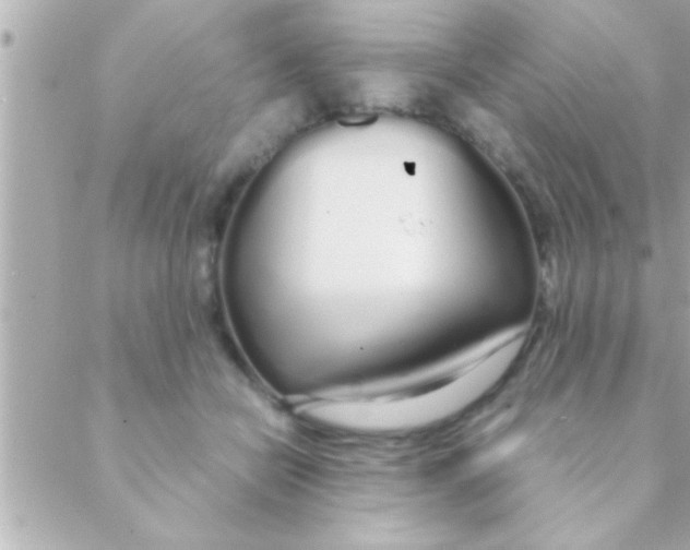 X0000088640462200706151947