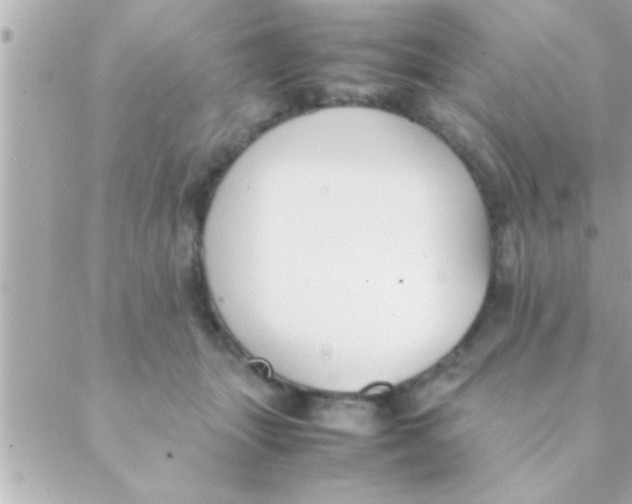 X0000088640463200706151947