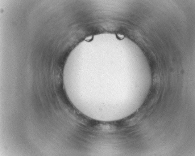 X0000088640464200706151947