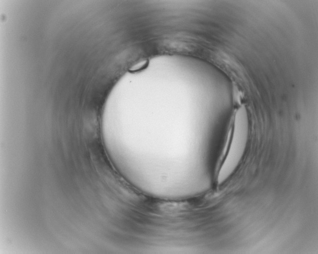 X0000088640465200706151947