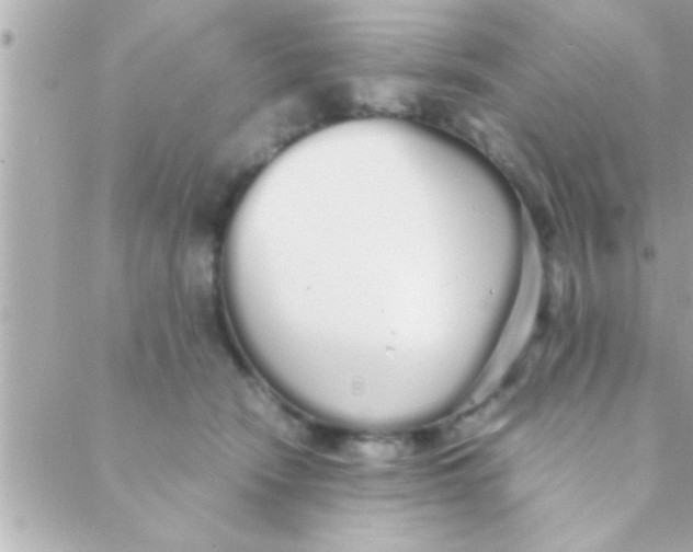 X0000088640466200706151947