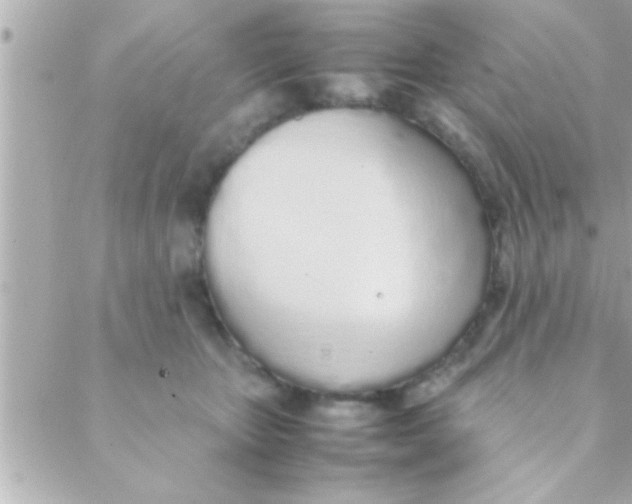 X0000088640467200706151947