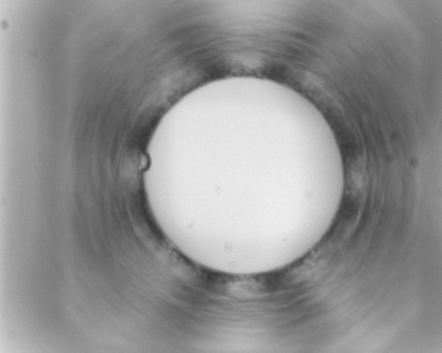 X0000088640468200706151947