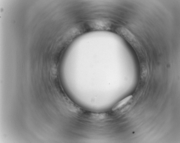 X0000088640469200706151947