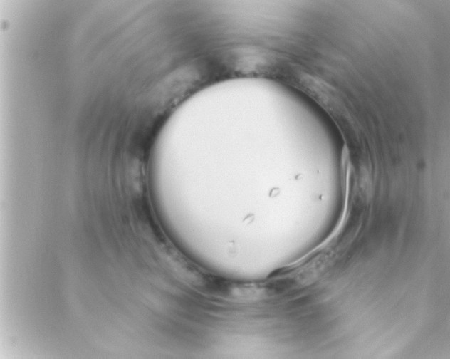 X0000088640470200706151947