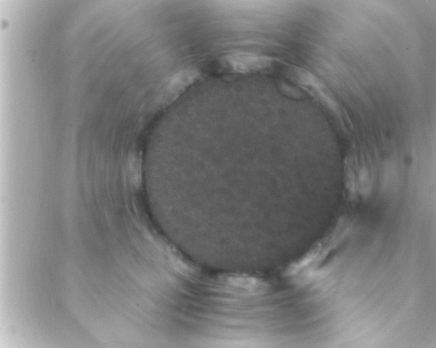 X0000088640471200706151947