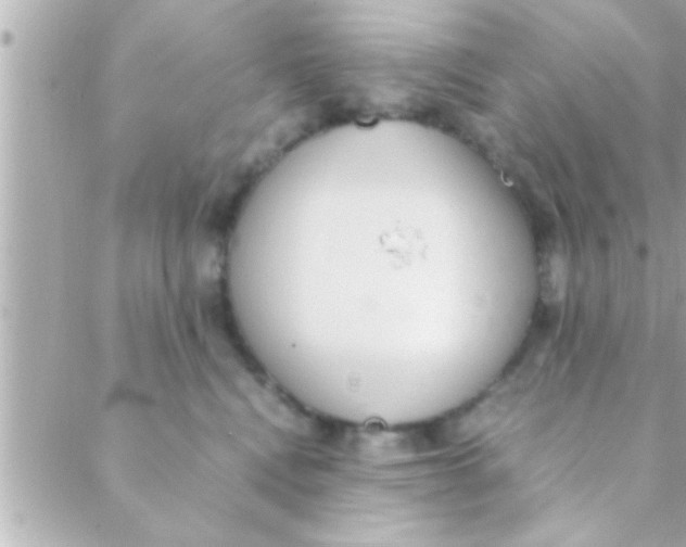 X0000088640472200706151947