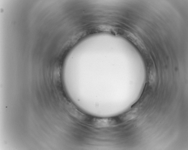 X0000088640473200706151947