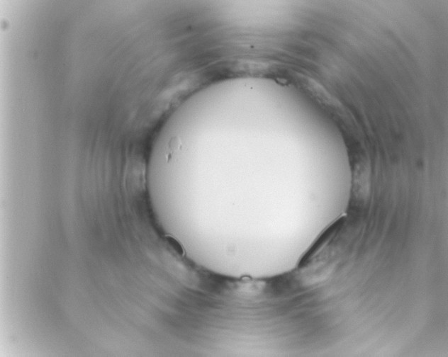 X0000088640474200706151947