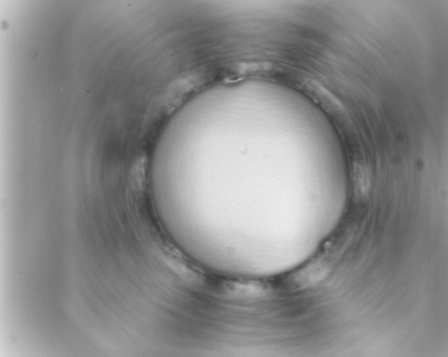 X0000088640475200706151947