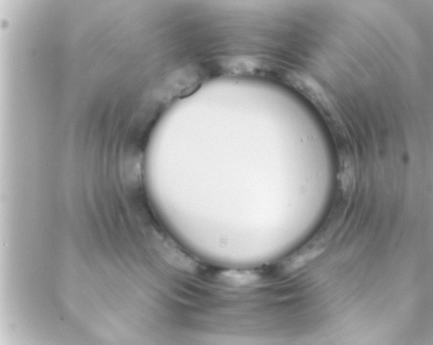 X0000088640477200706151947