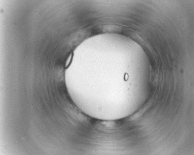 X0000088640478200706151947