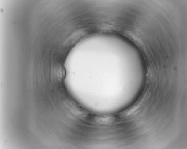 X0000088640479200706151947