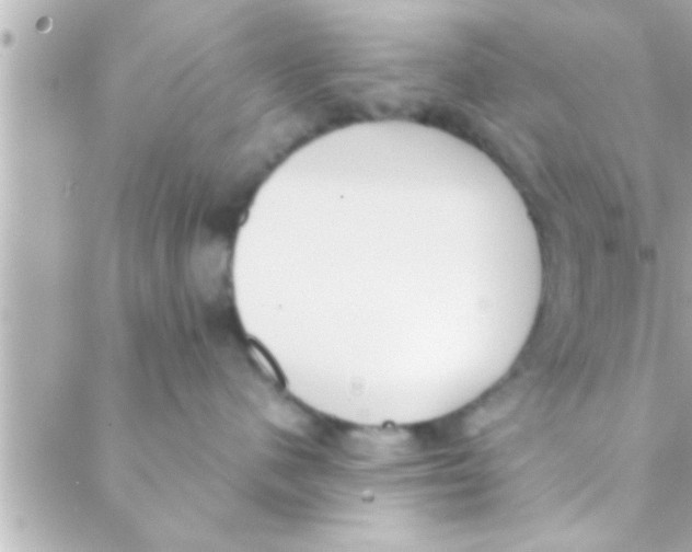 X0000088640480200706151947