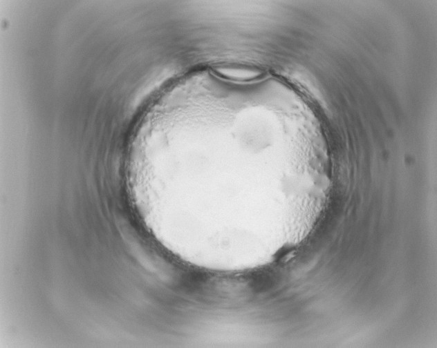 X0000088640491200706151946