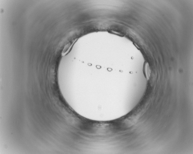 X0000088640497200706151946