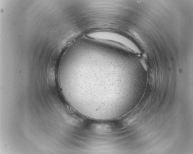 X0000088640500200706151946