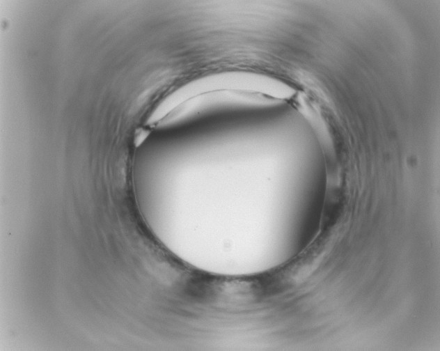 X0000088640501200706151946