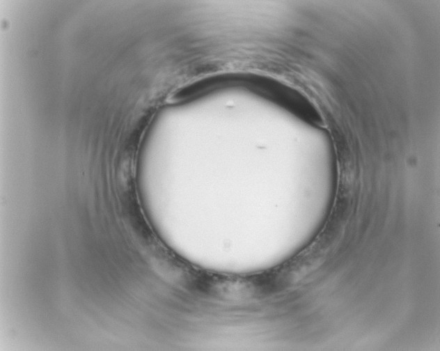 X0000088640503200706151946