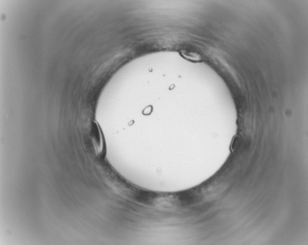 X0000088640505200706151946