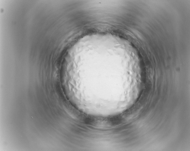 X0000088640507200706151946